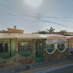 Dental Ortega