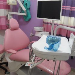 Dental Ortega