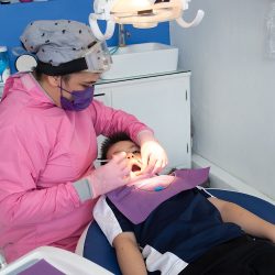 Dental Palacios