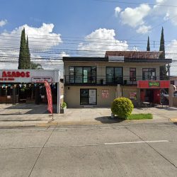 Dental Palafox