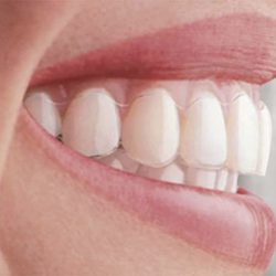 Dental Park Trc