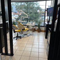 Dental Partida Morelia
