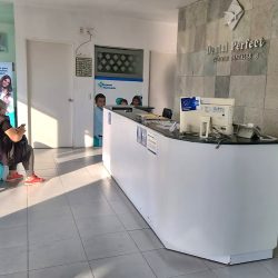 Dental Perfect Gustavo Baz