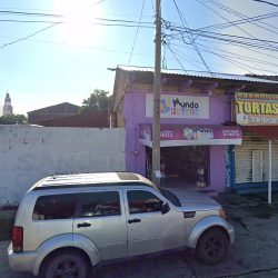 Dental Profesional