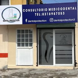 Dental Protection (dentistas)