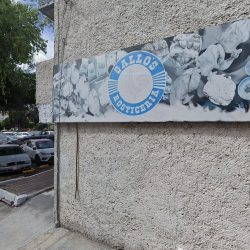 Dental Rendón