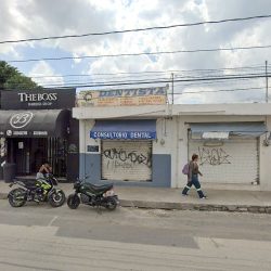 Dental Rofehcha