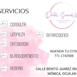 Dental Saavedra