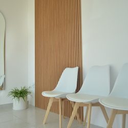 Dental San Marcos