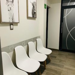 Dental Sonora