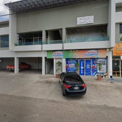 Dental Studio