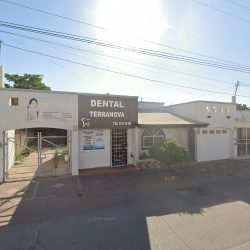 Dental Terranova