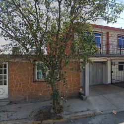 Dental Toluca