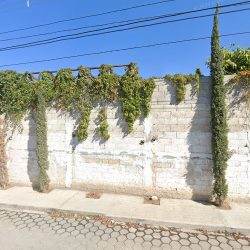 Dental Toral