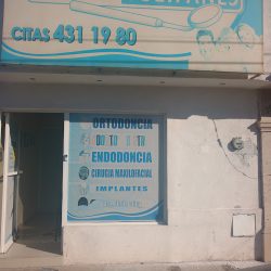 Dental Tulipanes