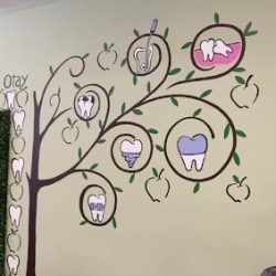 Dental Vancouver Otay