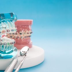 Dental Vargas