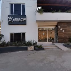 Dental Vega