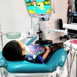 Dental Vizu