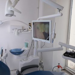 Dental Wellness | Seguros