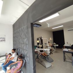 Dental Whale