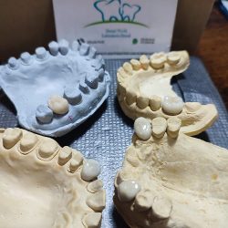 Dental World