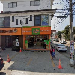 Dental Xalapa 500