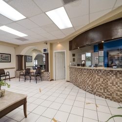 Dental Zaragoza