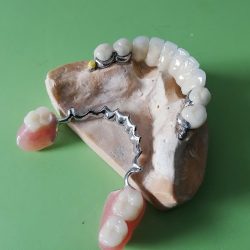 Dental Zone