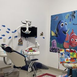Dentalaguitos Odontopediatra Fernanda Velasco