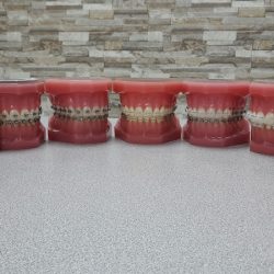 Dentalais Bio-estetica Dental