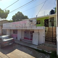 Dentalclinic Consultorio Medico Dental