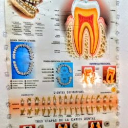 Dentalik