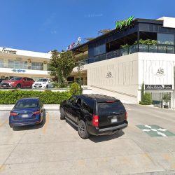 Dentalinea Morelia