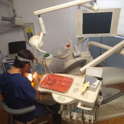 Dentall