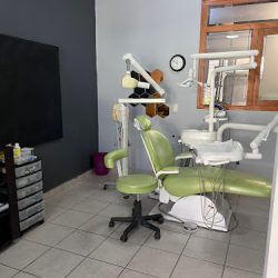 Dentall Morelia
