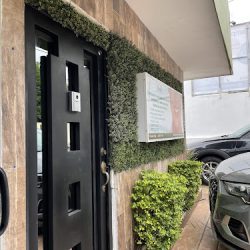 Dentall Tampico