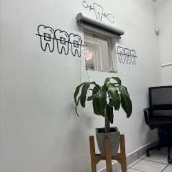 Dentalplus