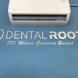 Dentalroots|odontología Integral-dra. Mónica G. Guarneros