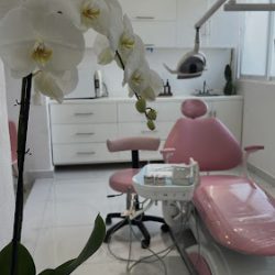 Dentar