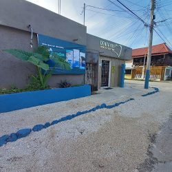Dentayre Dental Solution Consultorio Dental