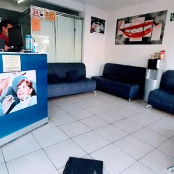 Denti-provi