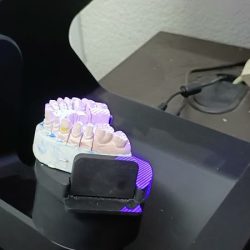 Dentileón
