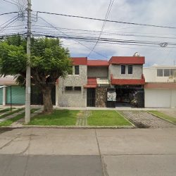 Dentista Ale Leycegui