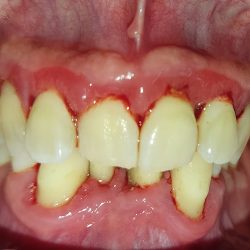 Dentista Alejandro Coronado