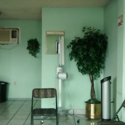 Dentista Alejandro Gutierrez