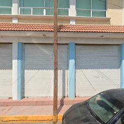Dentista Cirujano Laura Martínez