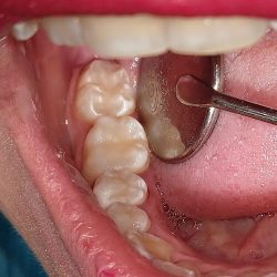 Dentista Claudia Ortega