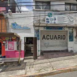 Dentista Cuernavaca Polardent: Servicio Odontologico Integral