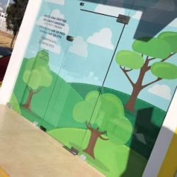Dentista De Niños Dental Kids En Aguascalientes